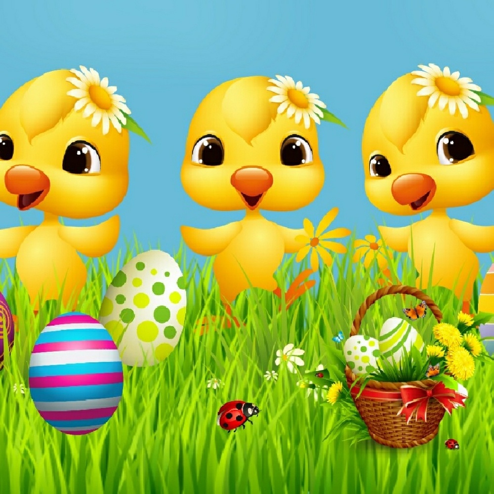 Meet your Posher, Tamara